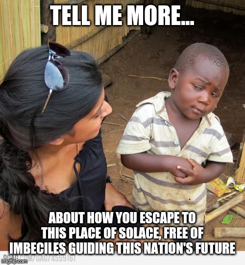 Reality | TELL ME MORE... ABOUT HOW YOU ESCAPE TO THIS PLACE OF SOLACE, FREE OF IMBECILES GUIDING THIS NATION'S FUTURE | image tagged in skeptic african child | made w/ Imgflip meme maker