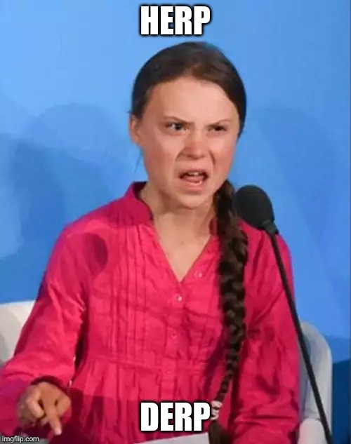 Greta Thunberg how dare you | HERP; DERP | image tagged in greta thunberg how dare you | made w/ Imgflip meme maker
