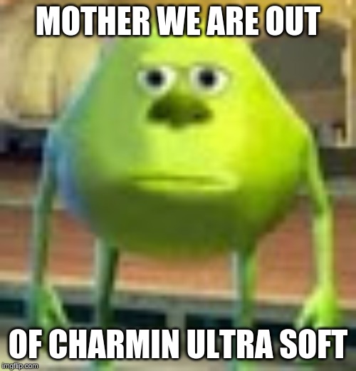 Sully Wazowski |  MOTHER WE ARE OUT; OF CHARMIN ULTRA SOFT | image tagged in sully wazowski | made w/ Imgflip meme maker