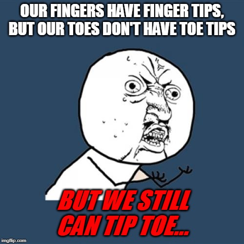 Y U No Meme | OUR FINGERS HAVE FINGER TIPS, BUT OUR TOES DON'T HAVE TOE TIPS; BUT WE STILL CAN TIP TOE... | image tagged in memes,y u no | made w/ Imgflip meme maker