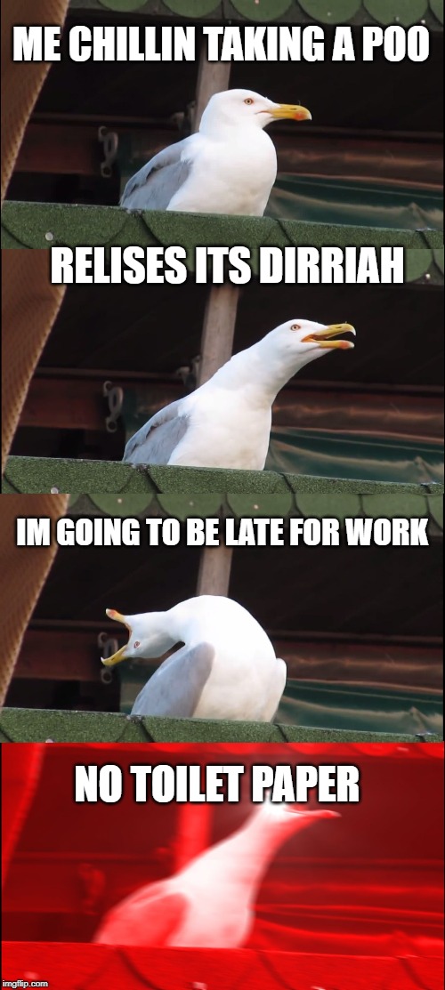 Inhaling Seagull | ME CHILLIN TAKING A POO; RELISES ITS DIRRIAH; IM GOING TO BE LATE FOR WORK; NO TOILET PAPER | image tagged in memes,inhaling seagull | made w/ Imgflip meme maker