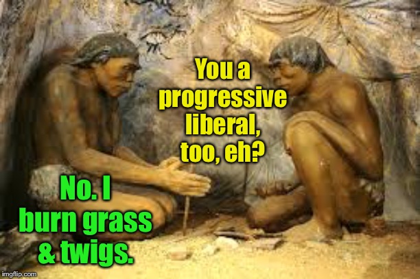 caveman fire | No. I burn grass & twigs. You a progressive liberal, too, eh? | image tagged in caveman fire | made w/ Imgflip meme maker