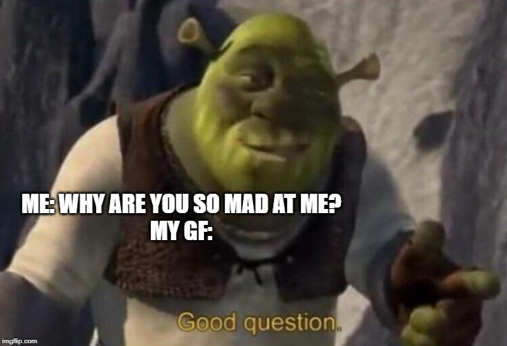 Shrek good question | ME: WHY ARE YOU SO MAD AT ME?
MY GF: | image tagged in shrek good question | made w/ Imgflip meme maker