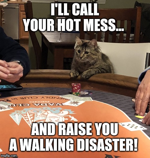 Cat Poker | I'LL CALL YOUR HOT MESS... AND RAISE YOU A WALKING DISASTER! | image tagged in cat poker | made w/ Imgflip meme maker