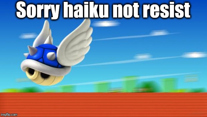 A Mario Kart haiku by Michael Bryant | Sorry haiku not resist | image tagged in a mario kart haiku by michael bryant | made w/ Imgflip meme maker