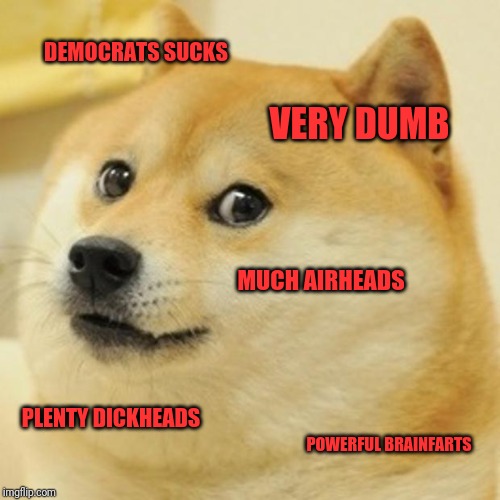 Doge | DEMOCRATS SUCKS; VERY DUMB; MUCH AIRHEADS; PLENTY DICKHEADS; POWERFUL BRAINFARTS | image tagged in memes,doge | made w/ Imgflip meme maker