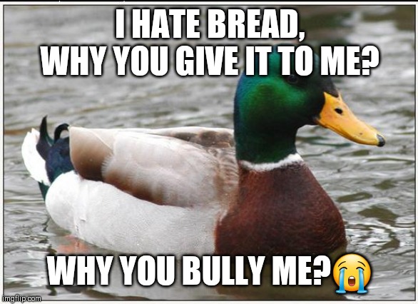 Actual Advice Mallard Meme | I HATE BREAD, WHY YOU GIVE IT TO ME? WHY YOU BULLY ME?😭 | image tagged in memes,actual advice mallard | made w/ Imgflip meme maker