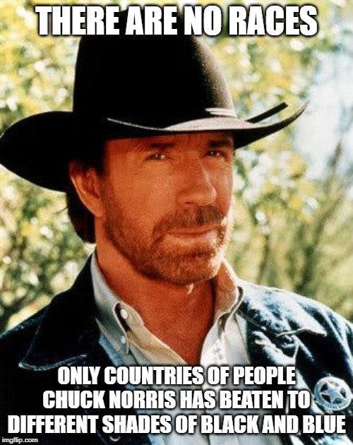 All The People of the World | THERE ARE NO RACES; ONLY COUNTRIES OF PEOPLE CHUCK NORRIS HAS BEATEN TO DIFFERENT SHADES OF BLACK AND BLUE | image tagged in memes,chuck norris | made w/ Imgflip meme maker