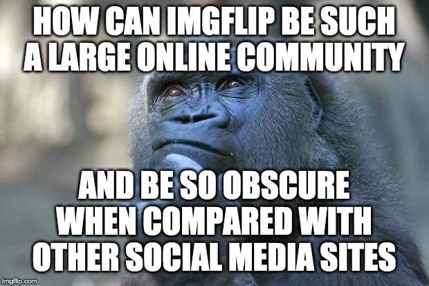 I mean, if you search up imgflip, you hardly get any results. How can such a large website be so secluded? | HOW CAN IMGFLIP BE SUCH A LARGE ONLINE COMMUNITY; AND BE SO OBSCURE WHEN COMPARED WITH OTHER SOCIAL MEDIA SITES | image tagged in funny,memes,imgflip | made w/ Imgflip meme maker