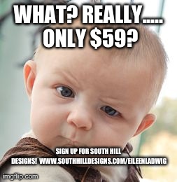 Skeptical Baby Meme | WHAT? REALLY..... ONLY $59? SIGN UP FOR SOUTH HILL DESIGNS! 
WWW.SOUTHHILLDESIGNS.COM/EILEENLADWIG | image tagged in memes,skeptical baby | made w/ Imgflip meme maker