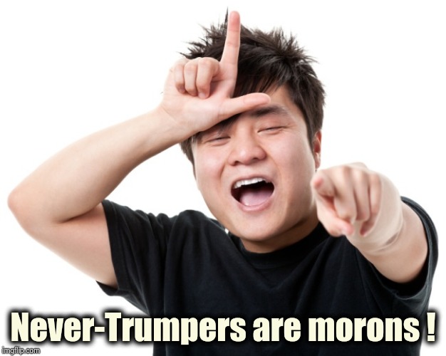 You're a loser | Never-Trumpers are morons ! | image tagged in you're a loser | made w/ Imgflip meme maker