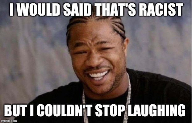 Yo Dawg Heard You Meme | I WOULD SAID THAT'S RACIST BUT I COULDN'T STOP LAUGHING | image tagged in memes,yo dawg heard you | made w/ Imgflip meme maker