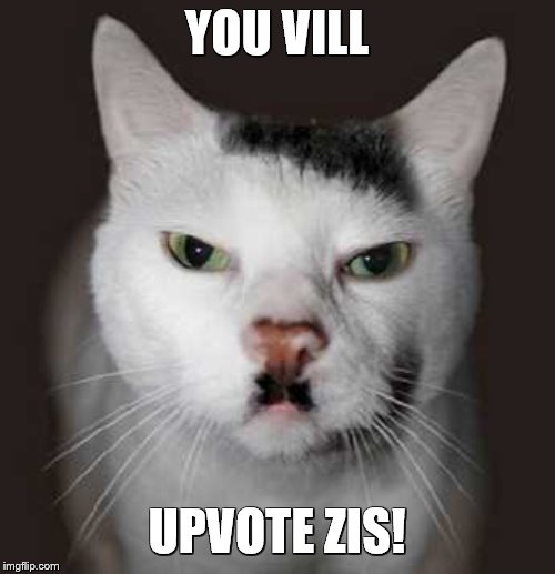 Nazi Cat | YOU VILL UPVOTE ZIS! | image tagged in nazi cat | made w/ Imgflip meme maker