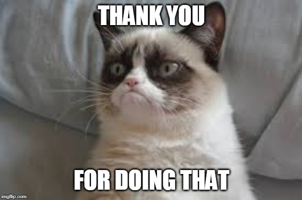 Grumpy cat | THANK YOU FOR DOING THAT | image tagged in grumpy cat | made w/ Imgflip meme maker