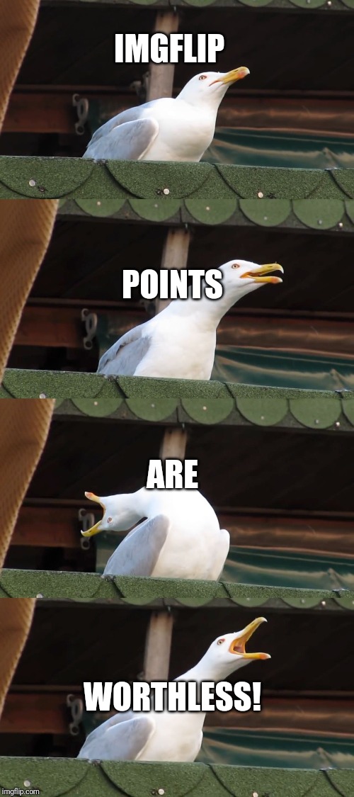 Screaming Seagull | IMGFLIP; POINTS; ARE; WORTHLESS! | image tagged in screaming seagull | made w/ Imgflip meme maker