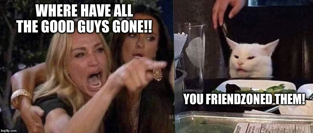 woman yelling at cat | WHERE HAVE ALL THE GOOD GUYS GONE!! YOU FRIENDZONED THEM! | image tagged in woman yelling at cat | made w/ Imgflip meme maker