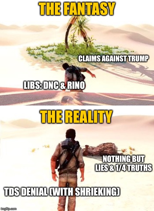 How the Liberals have wasted the last three years (soon to be four) in a nutshell. | THE FANTASY; CLAIMS AGAINST TRUMP; LIBS: DNC & RINO; THE REALITY; NOTHING BUT LIES & 1/4 TRUTHS; TDS DENIAL (WITH SHRIEKING) | image tagged in liberal logic,trump impeachment,msm lies | made w/ Imgflip meme maker