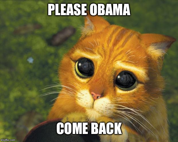 puss in boots | PLEASE OBAMA COME BACK | image tagged in puss in boots | made w/ Imgflip meme maker