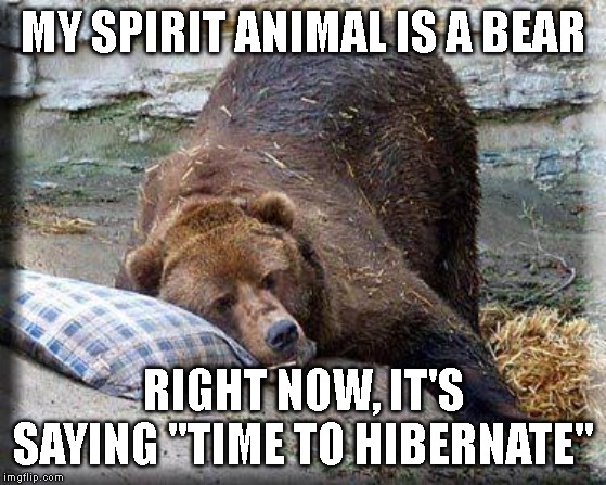 Narcoleptic Sleeping Bear Meme | MY SPIRIT ANIMAL IS A BEAR; RIGHT NOW, IT'S SAYING "TIME TO HIBERNATE" | image tagged in narcoleptic sleeping bear meme | made w/ Imgflip meme maker