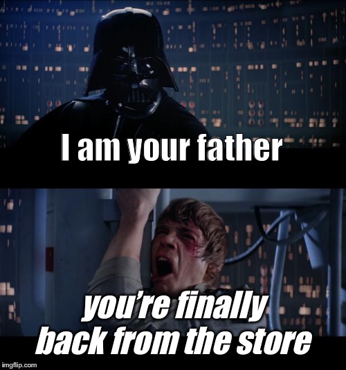Star Wars No Meme | I am your father; you’re finally back from the store | image tagged in memes,star wars no | made w/ Imgflip meme maker