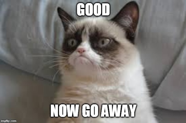 Grumpy cat | GOOD NOW GO AWAY | image tagged in grumpy cat | made w/ Imgflip meme maker