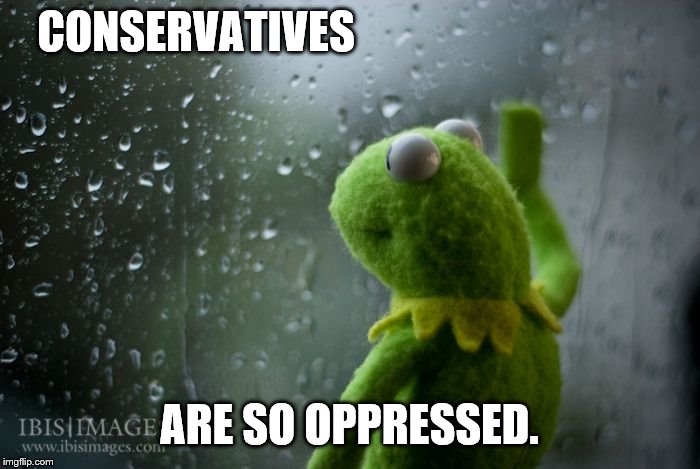 kermit window | CONSERVATIVES ARE SO OPPRESSED. | image tagged in kermit window | made w/ Imgflip meme maker