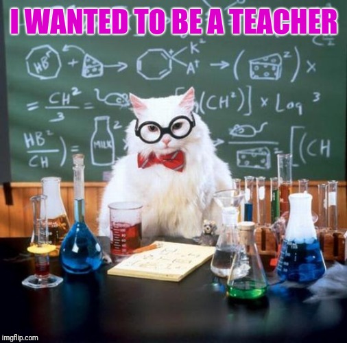 Chemistry Cat Meme | I WANTED TO BE A TEACHER | image tagged in memes,chemistry cat | made w/ Imgflip meme maker