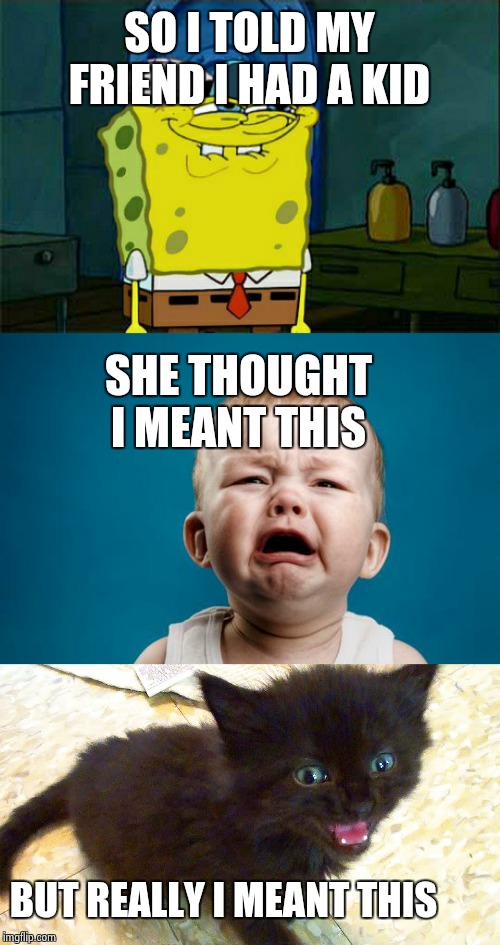 his name is salem | SO I TOLD MY FRIEND I HAD A KID; SHE THOUGHT I MEANT THIS; BUT REALLY I MEANT THIS | image tagged in memes,dont you squidward,baby crying,tiny black kitten,jokes on you,lol | made w/ Imgflip meme maker
