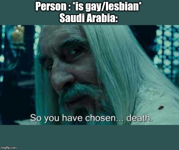 So you have chosen death | Person : *is gay/lesbian* 
Saudi Arabia: | image tagged in so you have chosen death | made w/ Imgflip meme maker