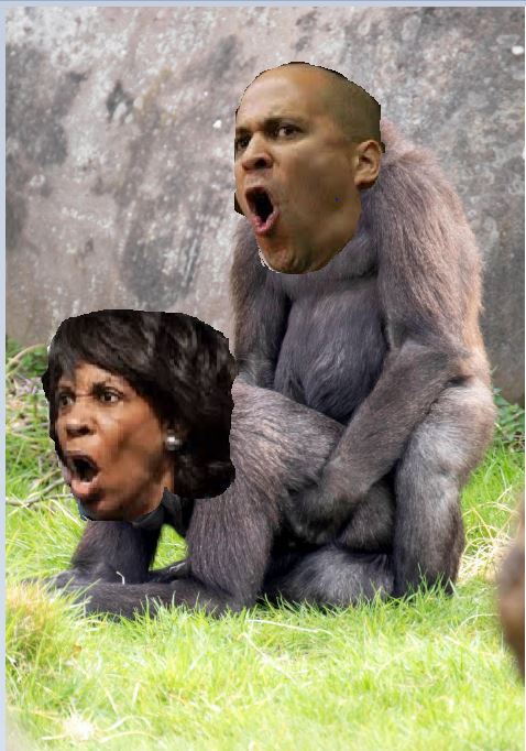 Cory Booker and Maxine Waters Blank Meme Template