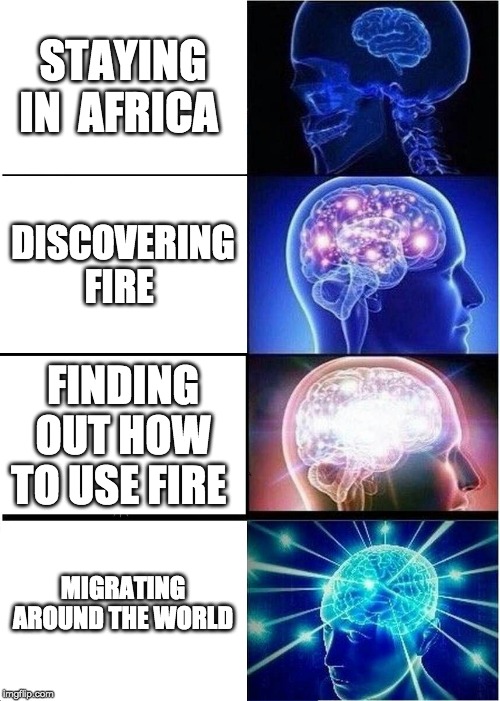Expanding Brain Meme | STAYING IN  AFRICA; DISCOVERING FIRE; FINDING OUT HOW TO USE FIRE; MIGRATING AROUND THE WORLD | image tagged in memes,expanding brain | made w/ Imgflip meme maker