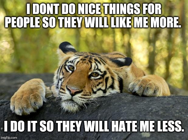 Confession Tiger |  I DONT DO NICE THINGS FOR PEOPLE SO THEY WILL LIKE ME MORE. I DO IT SO THEY WILL HATE ME LESS. | image tagged in confession tiger | made w/ Imgflip meme maker