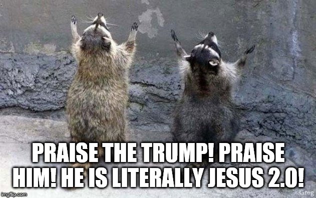 Raccoon Worshipping | PRAISE THE TRUMP! PRAISE HIM! HE IS LITERALLY JESUS 2.0! | image tagged in raccoon worshipping | made w/ Imgflip meme maker