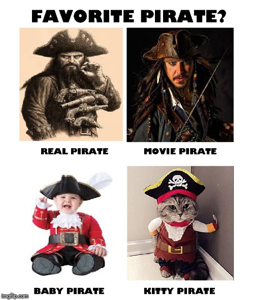 Pirates | image tagged in pirate,cat,baby,funny | made w/ Imgflip meme maker