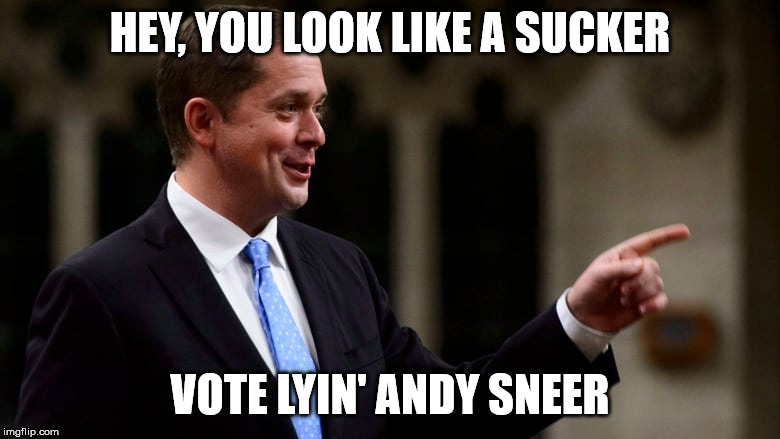 LYING ANDY SNEER | HEY, YOU LOOK LIKE A SUCKER; VOTE LYIN' ANDY SNEER | image tagged in andrew scheer,conservatives,canada,politics,canadian,yankeedoodleandy | made w/ Imgflip meme maker