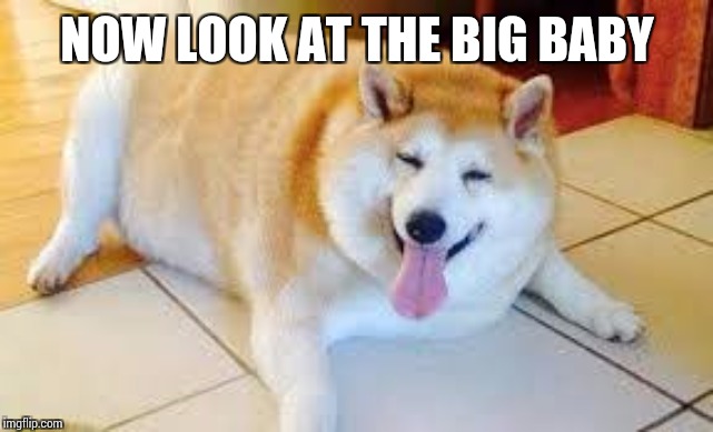 Thicc Doggo | NOW LOOK AT THE BIG BABY | image tagged in thicc doggo | made w/ Imgflip meme maker