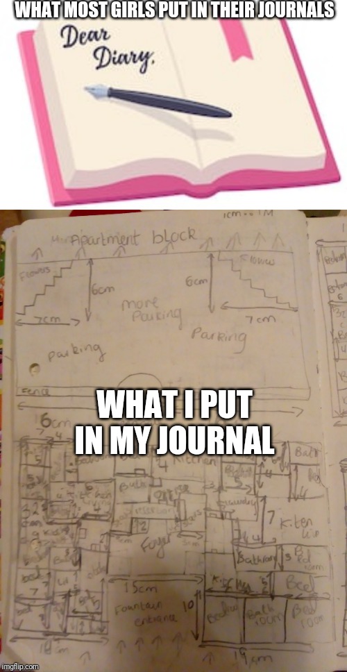 WHAT MOST GIRLS PUT IN THEIR JOURNALS; WHAT I PUT IN MY JOURNAL | image tagged in minecraft | made w/ Imgflip meme maker