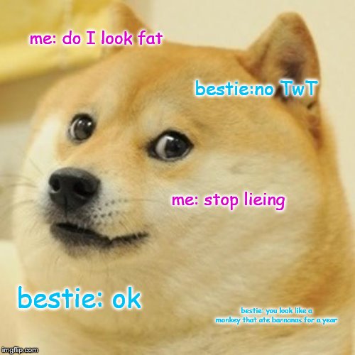 Doge | me: do I look fat; bestie:no TwT; me: stop lieing; bestie: ok; bestie: you look like a monkey that ate bannanas for a year | image tagged in memes,doge | made w/ Imgflip meme maker