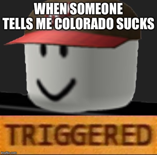 I’m a Colorado native | WHEN SOMEONE TELLS ME COLORADO SUCKS | image tagged in roblox triggered,colorado | made w/ Imgflip meme maker