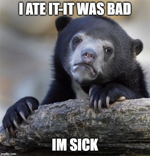 breakroom food | I ATE IT-IT WAS BAD; IM SICK | image tagged in confession bear,bad food,sick | made w/ Imgflip meme maker