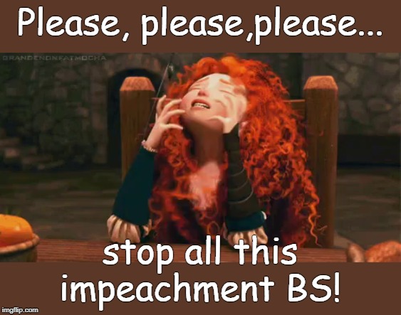 Trump 2020 | Please, please,please... stop all this impeachment BS! | image tagged in exasperation | made w/ Imgflip meme maker