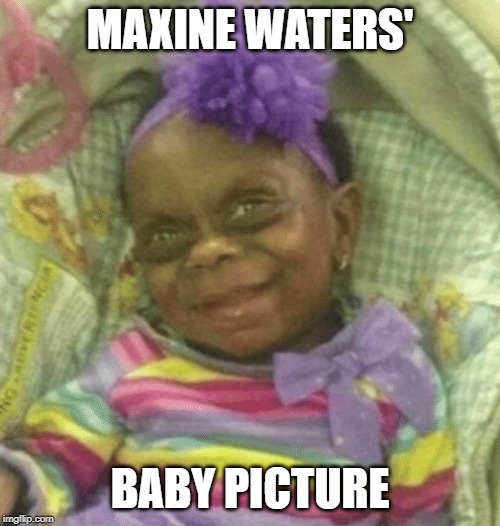 maxine waters baby picture | MAXINE WATERS'; BABY PICTURE | image tagged in maxine waters | made w/ Imgflip meme maker