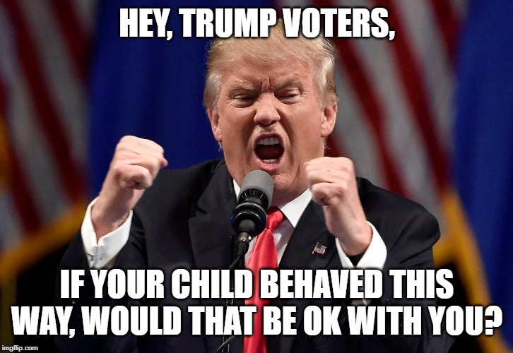 Trump Tantrum | HEY, TRUMP VOTERS, IF YOUR CHILD BEHAVED THIS WAY, WOULD THAT BE OK WITH YOU? | image tagged in trump tantrum | made w/ Imgflip meme maker