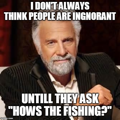 Dos Equis Guy Awesome | I DON'T ALWAYS THINK PEOPLE ARE INGNORANT; UNTILL THEY ASK "HOWS THE FISHING?" | image tagged in dos equis guy awesome | made w/ Imgflip meme maker
