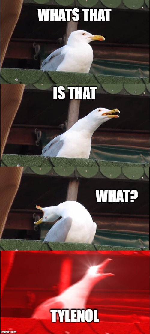 Inhaling Seagull Meme | WHATS THAT; IS THAT; WHAT? TYLENOL | image tagged in memes,inhaling seagull | made w/ Imgflip meme maker