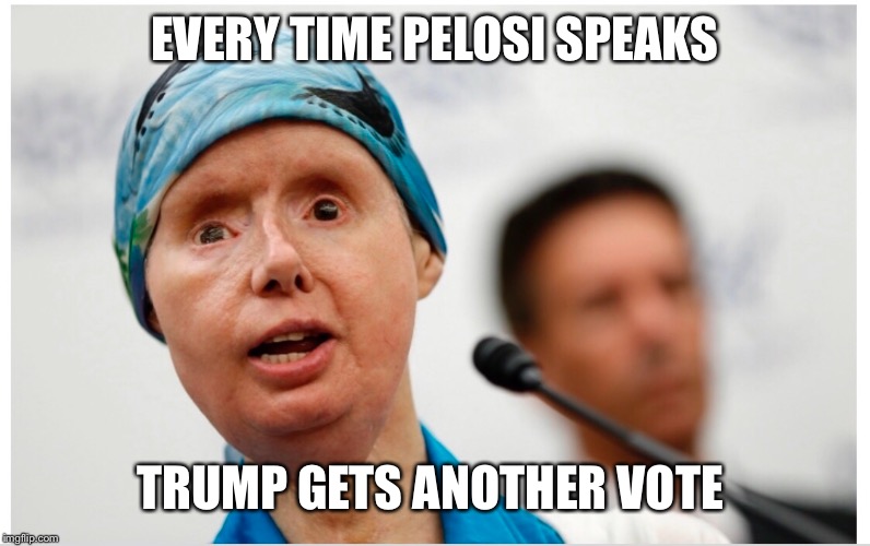 Every time Pelosi speaks, Trump gets another vote. | EVERY TIME PELOSI SPEAKS; TRUMP GETS ANOTHER VOTE | image tagged in donald trump,nancy pelosi | made w/ Imgflip meme maker