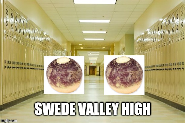 High school hallway  | SWEDE VALLEY HIGH | image tagged in high school hallway | made w/ Imgflip meme maker
