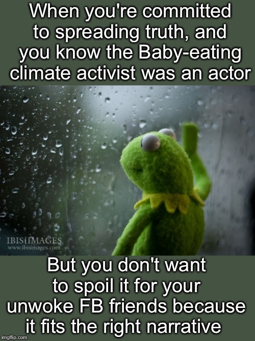 It's hard to be so much smarter than everyone I know. | When you're committed to spreading truth, and you know the Baby-eating climate activist was an actor; But you don't want to spoil it for your unwoke FB friends because it fits the right narrative | image tagged in kermit window | made w/ Imgflip meme maker