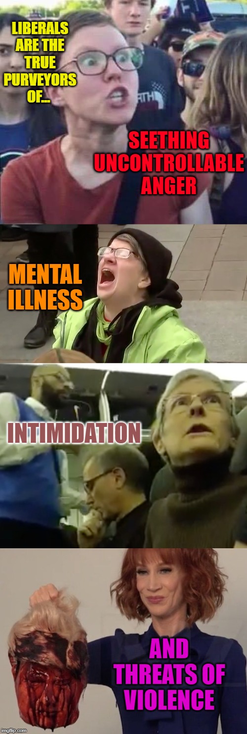 Liberals are the true purveyors of... Anger, Mental Illness, Intimidation and violence | LIBERALS ARE THE TRUE PURVEYORS OF... SEETHING UNCONTROLLABLE ANGER; MENTAL ILLNESS; INTIMIDATION; AND THREATS OF VIOLENCE | image tagged in angry liberal,unhinged liberals,political meme,democrats,snowflake meltdown,crazy liberals | made w/ Imgflip meme maker