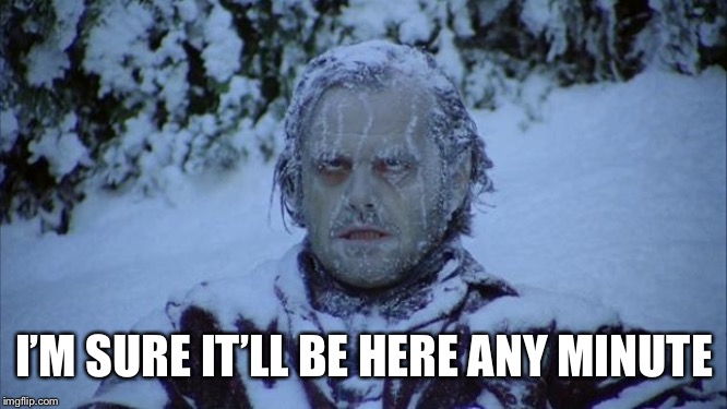 Cold | I’M SURE IT’LL BE HERE ANY MINUTE | image tagged in cold | made w/ Imgflip meme maker